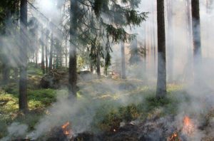clima impazzito incendio boschi