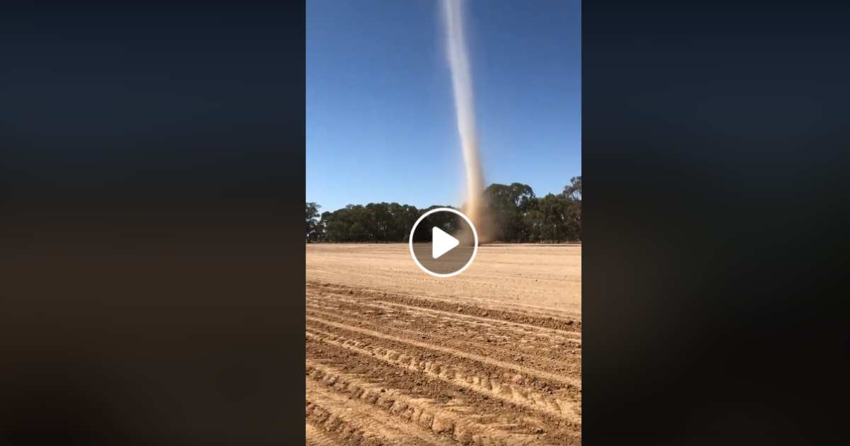 spettacolare Dust Devil ripreso nella zona di Victoria in Australia (25th Feb- 2019)