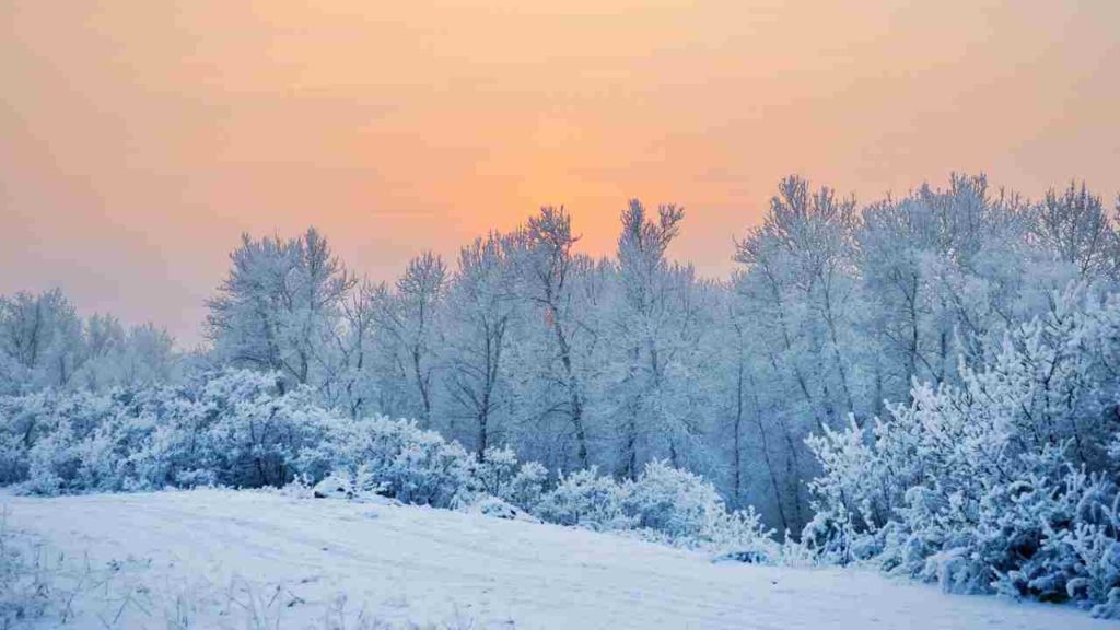 Meteo Natale-Capodanno 2020-2021: Importanti Novità sulla Neve prevista