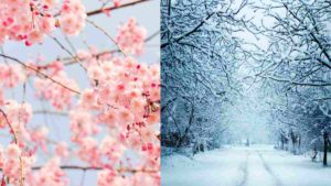 Meteo Tendenza Marzo 2021: Sarà subito Primavera o Inverno Tardivo?