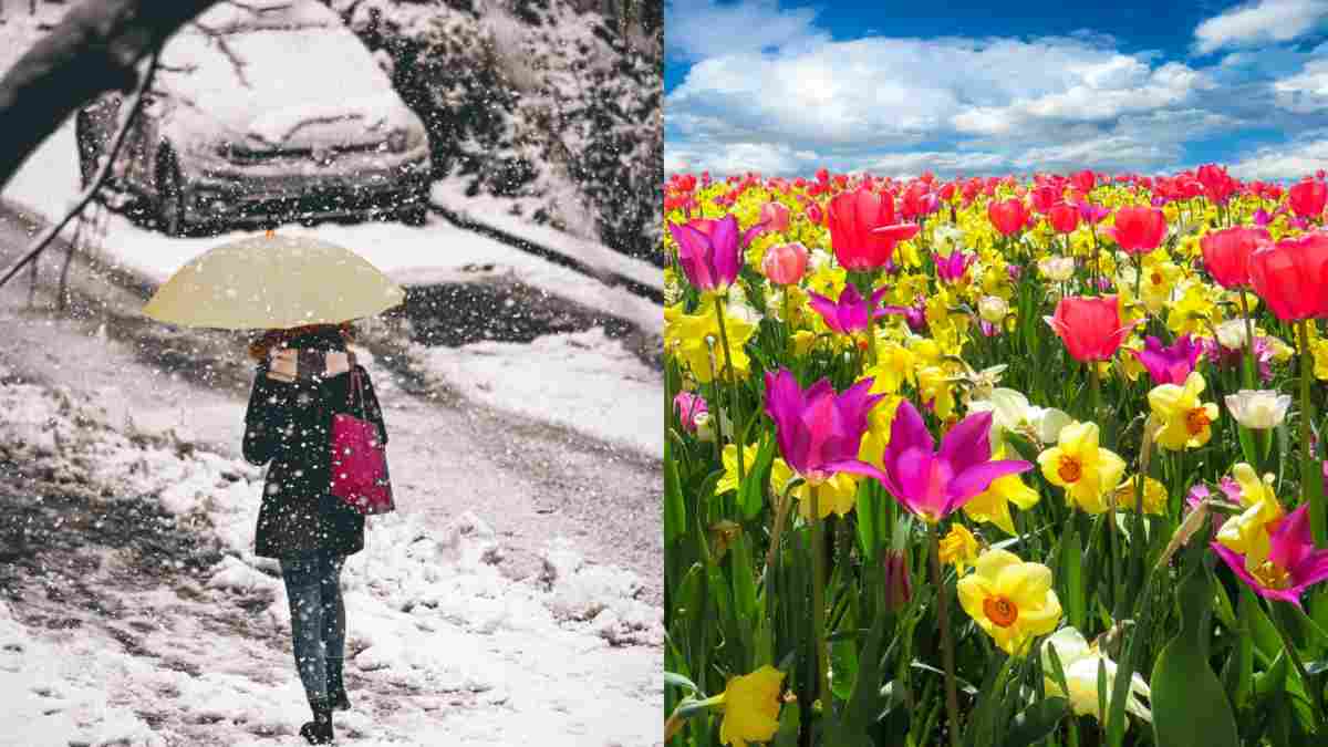 Meteo 22-28 Marzo: Quarta Settimana del mese dai 2 volti della Primavera